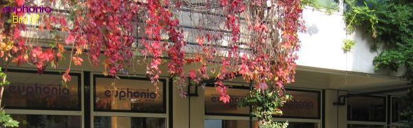Schaufenster An Groß Sankt Martin 5